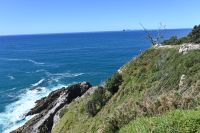 Tag 8 - Neuseeland - Coromandel-Halbinsel - Hahei (4)