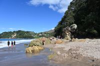 Tag 8 - Neuseeland - Coromandel-Halbinsel - Hot Water Beach