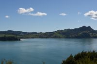 Tag 8 - Neuseeland - Coromandel-Halbinsel - Mercury Bay (1)