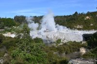 Tag 9 - Neuseeland - Te Puia - Geysir Pohutu (2)