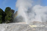 Tag 9 - Neuseeland - Te Puia - Geysir Pohutu (4)