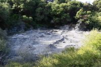 Tag 9 - Neuseeland - Te Puia - Schlammgrube