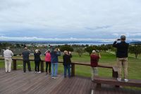 Tag 10 - Neuseeland - Aussicht am Lake Taupo
