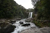 Tag 10 - Neuseeland - Tawhai Falls (1)