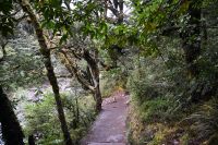 Tag 10 - Neuseeland - Tawhai Falls (2)