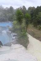 Tag 10 - Neuseeland - Thermalbad (1)