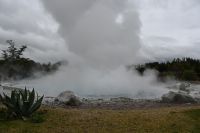 Tag 10 - Neuseeland - Thermalbad (3)