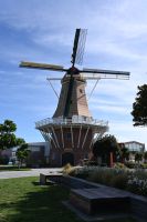 Tag 11 - Neuseeland - Foxton (1)