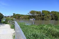 Tag 11 - Neuseeland - Foxton (2)