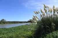 Tag 11 - Neuseeland - Foxton (3)