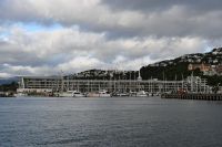 Tag 11 - Neuseeland - Wellington (11)