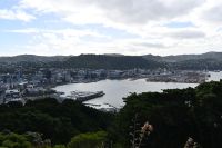 Tag 11 - Neuseeland - Wellington von oben (1)