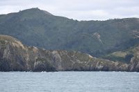 Tag 12 - Neuseeland - Fährüberfahrt auf die Südinsel (6)