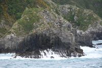 Tag 12 - Neuseeland - Fährüberfahrt auf die Südinsel (7)