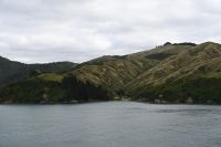Tag 12 - Neuseeland - Fährüberfahrt auf die Südinsel (11)