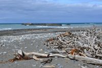 Tag 12 - Neuseeland - Westküste (1)