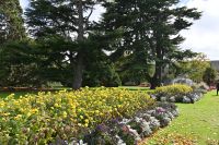 Tag 13 - Neuseeland - botanischer Garten in Christchurch (2)