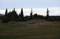 Tag 13 - Neuseeland - Lake Tekapo (6)