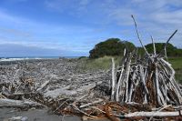 Tag 12 - Neuseeland - Westküste (4)