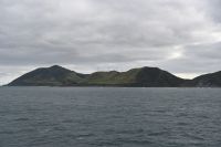 Tag 12 - Neuseeland - Fährüberfahrt auf die Südinsel (2)