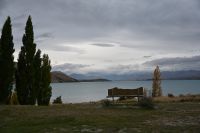 Tag 13 - Neuseeland - Lake Tekapo (2)