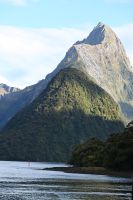 Tag 15 - Neuseeland - Bischofsmütze (1)