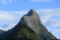 Tag 15 - Neuseeland - Bischofsmütze (2)