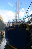 Tag 15 - Neuseeland - Milford Mariner (1)