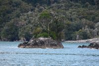 Tag 15 - Neuseeland - Milford Sound (6)