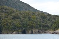 Tag 15 - Neuseeland - Milford Sound (7)