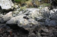 Tag 15 - Neuseeland - Milford Sound (17)