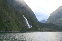 Tag 15 - Neuseeland - Milford Sound (26)