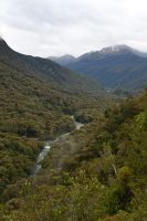 Tag 15 - Neuseeland - Regenwald (1)