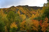 Tag 17 - Neuseeland - Arrow-Town (1)