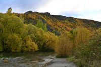 Tag 17 - Neuseeland - Arrow-Town (2)