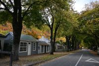 Tag 17 - Neuseeland - Arrow-Town (5)