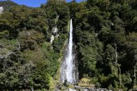 Tag 17 - Neuseeland - Thunder Creek Falls (1)