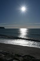 Tag 17 - Neuseeland - Westküste (2)