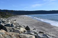 Tag 17 - Neuseeland - Westküste