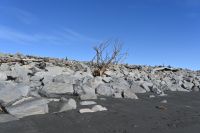 Tag 18 - Neuseeland - Hokitika - Strand (2)