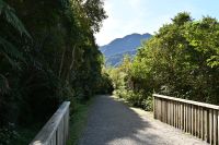 Tag 18 - Neuseeland - Regenwald (1)