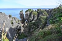 Tag 19 - Neuseeland - Pancake Rocks (1)