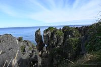 Tag 19 - Neuseeland - Pancake Rocks (3)