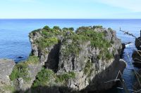 Tag 19 - Neuseeland - Pancake Rocks (4)