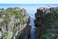 Tag 19 - Neuseeland - Pancake Rocks (5)