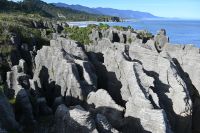 Tag 19 - Neuseeland - Pancake Rocks (9)