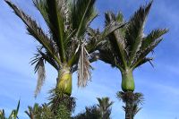 Tag 19 - Neuseeland (6)