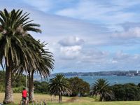 Neuseeland Nordinsel - Michael Joseph Park - Auckland