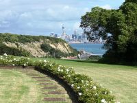 Neuseeland Nordinsel - Michael Joseph Park - Auckland
