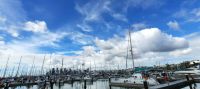 Neuseeland  Nordinsel - St. Marys Bay  - Waitemata Harbour Auckland